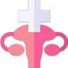 Gynaecology Obstetrics Treatment in Abhanpur