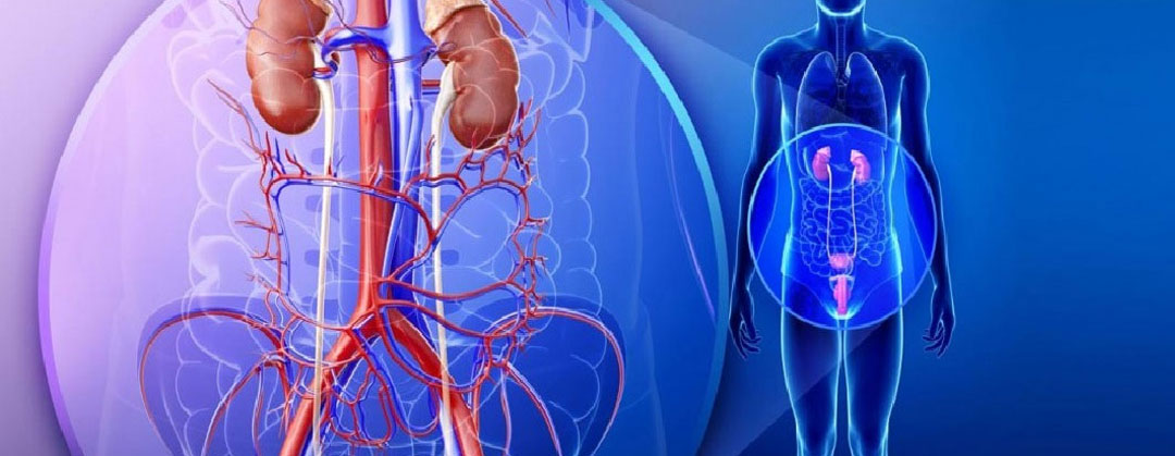 Urology Treatment in Abhanpur